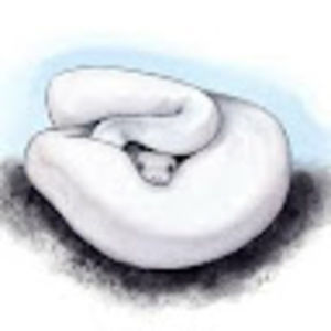 Meet your Posher, Brooklynn